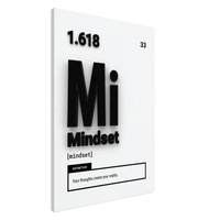 Copy of The Element of Mindset Black - Phantom 4