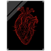 d3d30ac1-4570-4ae7-9f0c-4f2eeefbaf30