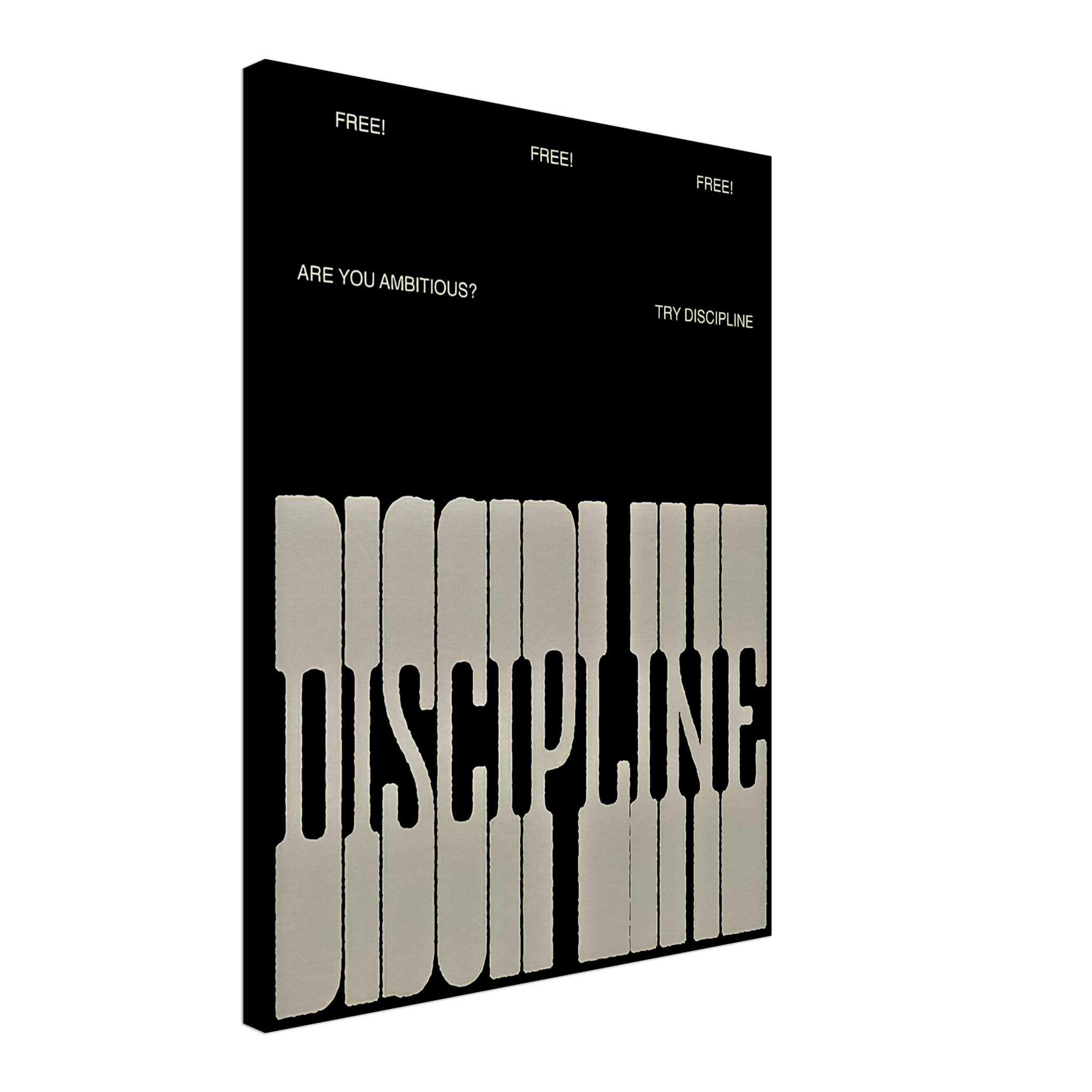The Discipline