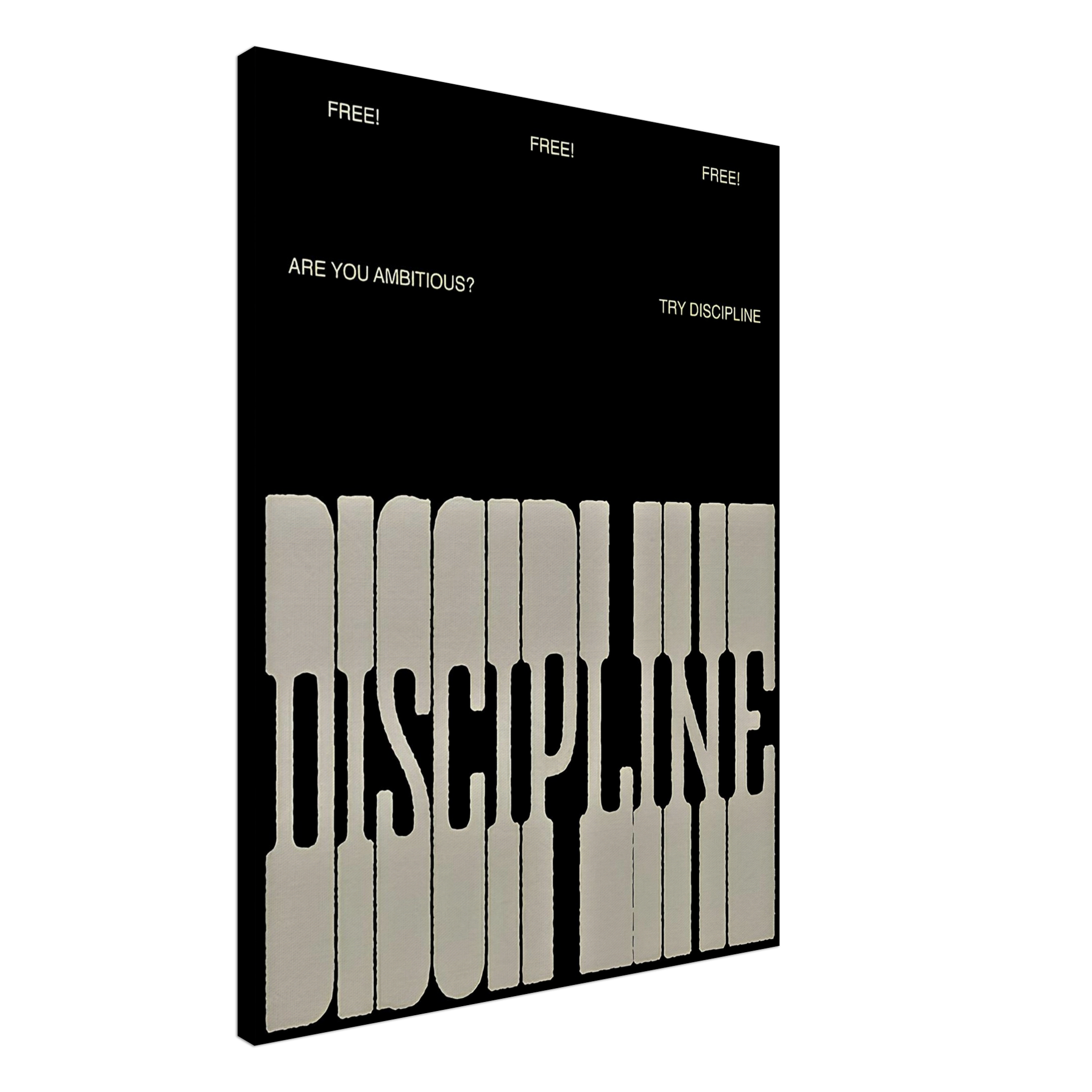The Discipline