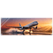 Departure Acrylic canvas - Phantom 4