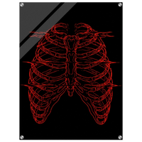 Anatomical Ribcage – Red Line Acrylic Glass Art