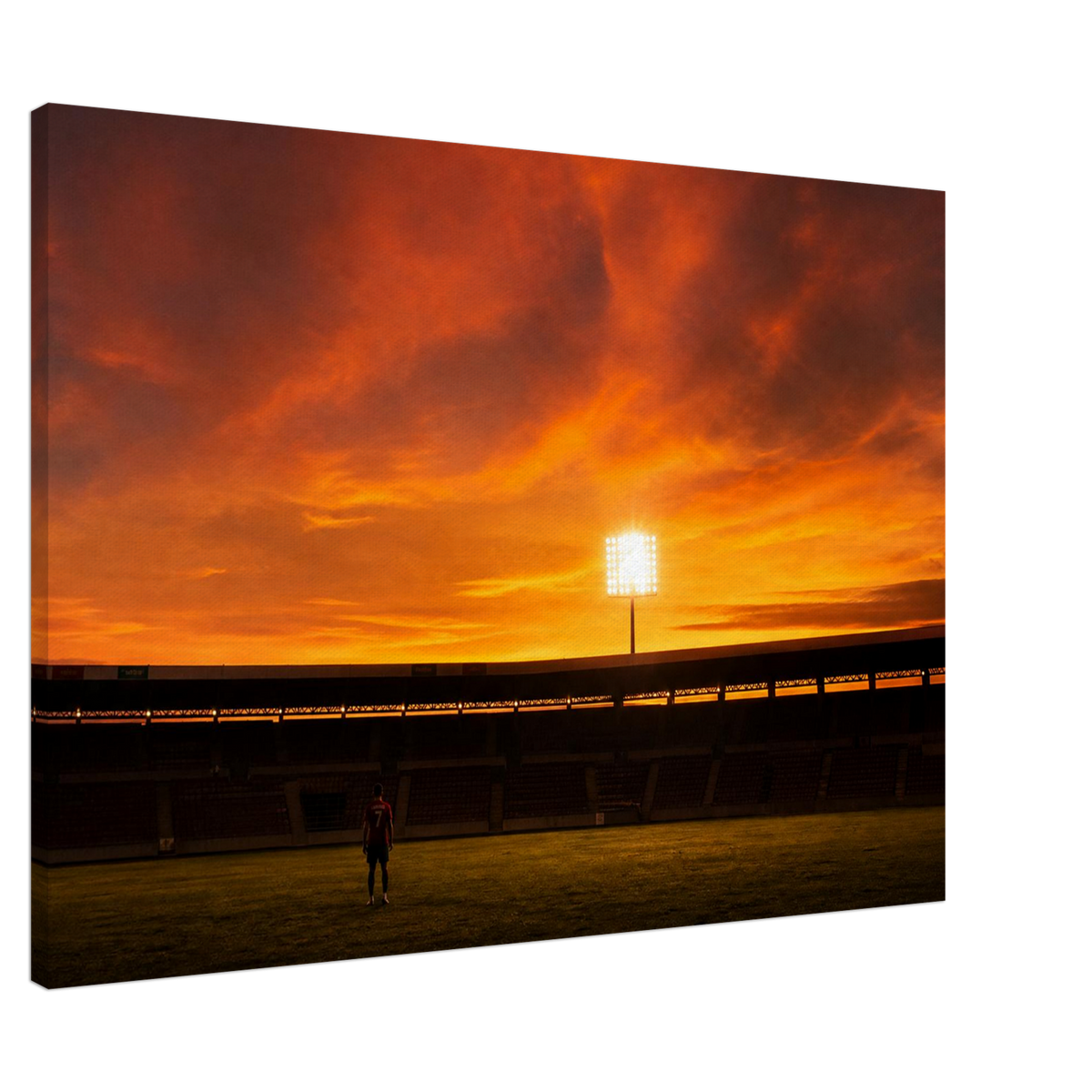 Last Light – Stadium Canvas Art