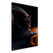 Evolved Power - Phantom 4