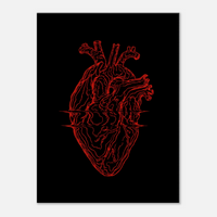 Anatomical Heart – Red Line Art Canvas