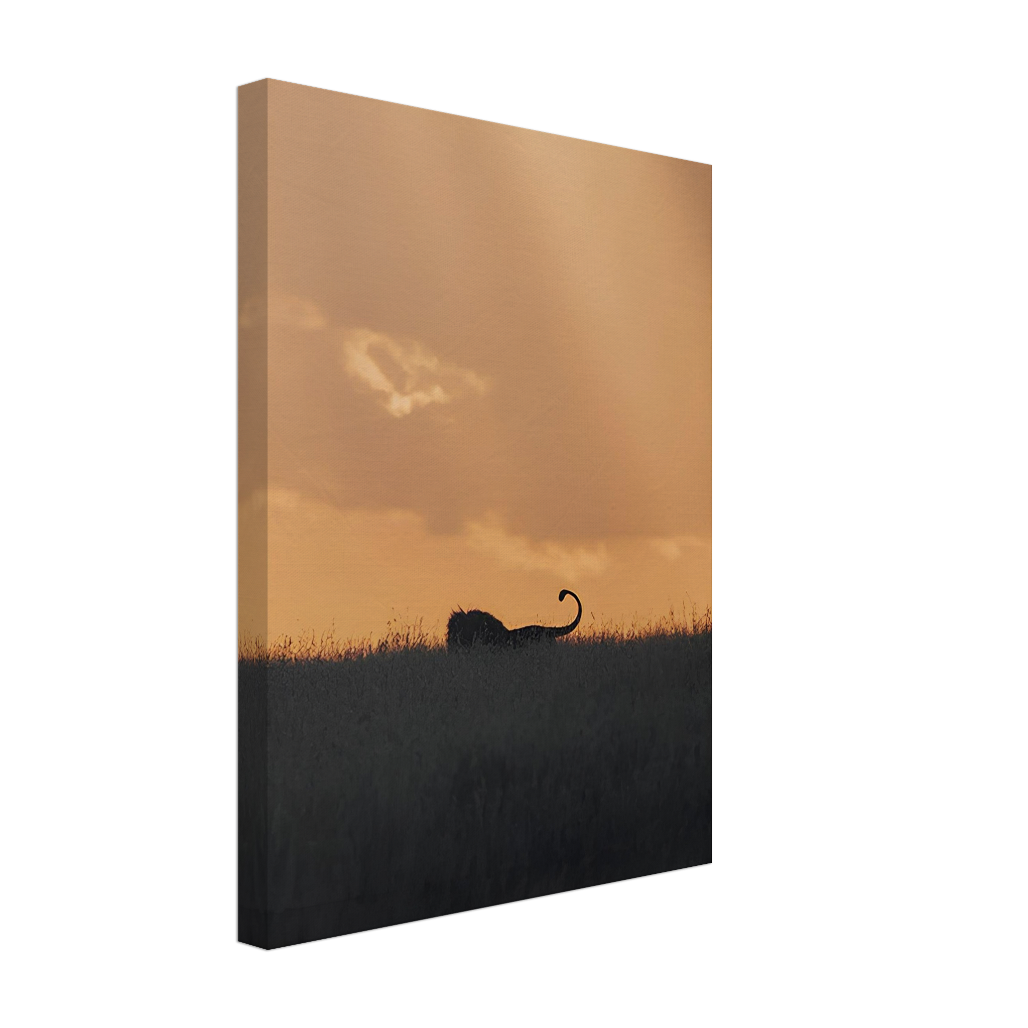 The Shadowed King