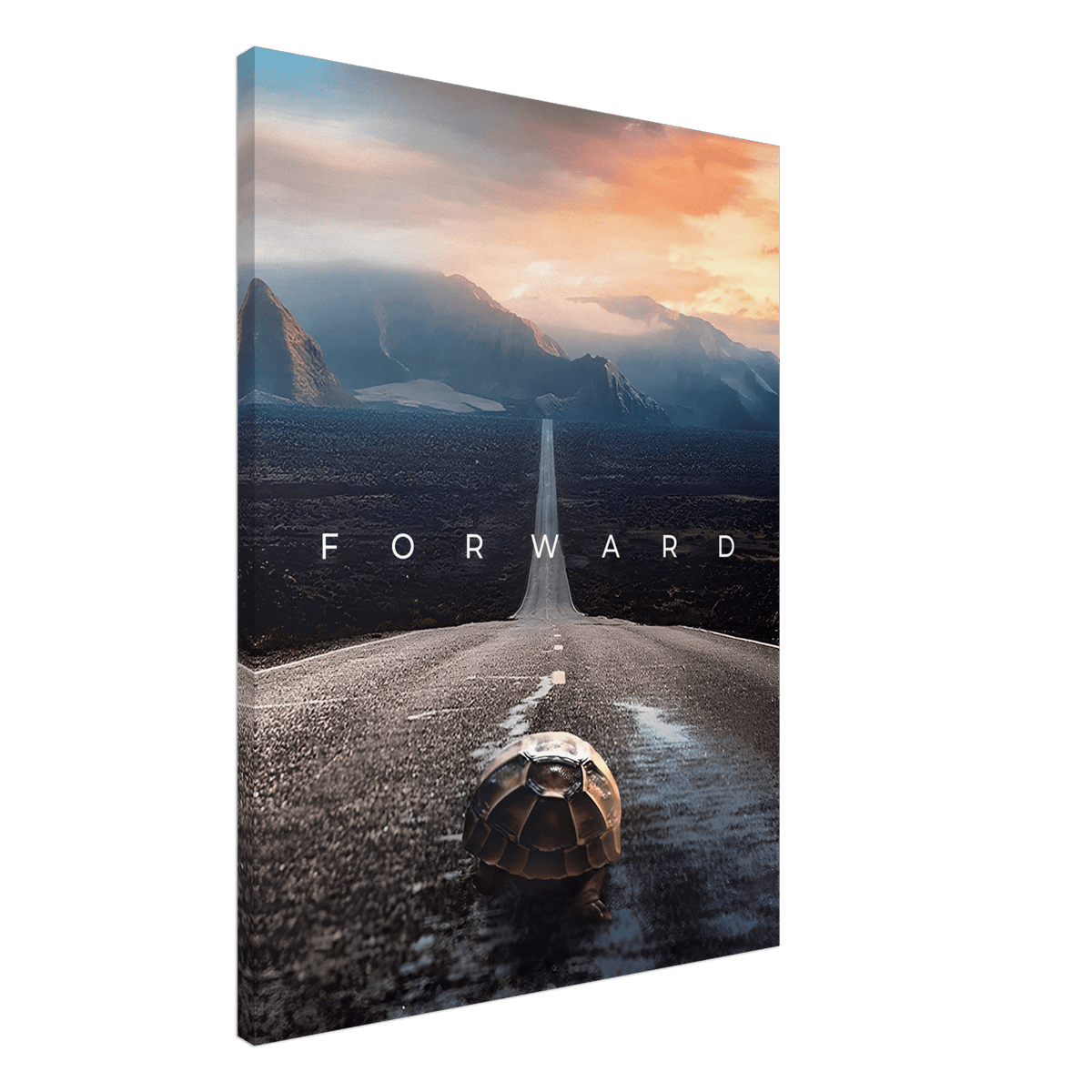 Forward - Phantom 4