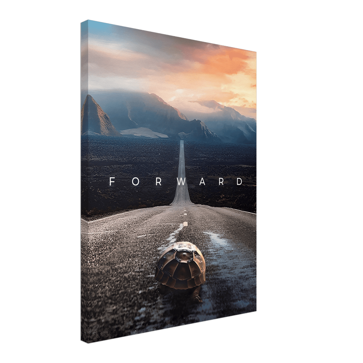 Forward - Phantom 4