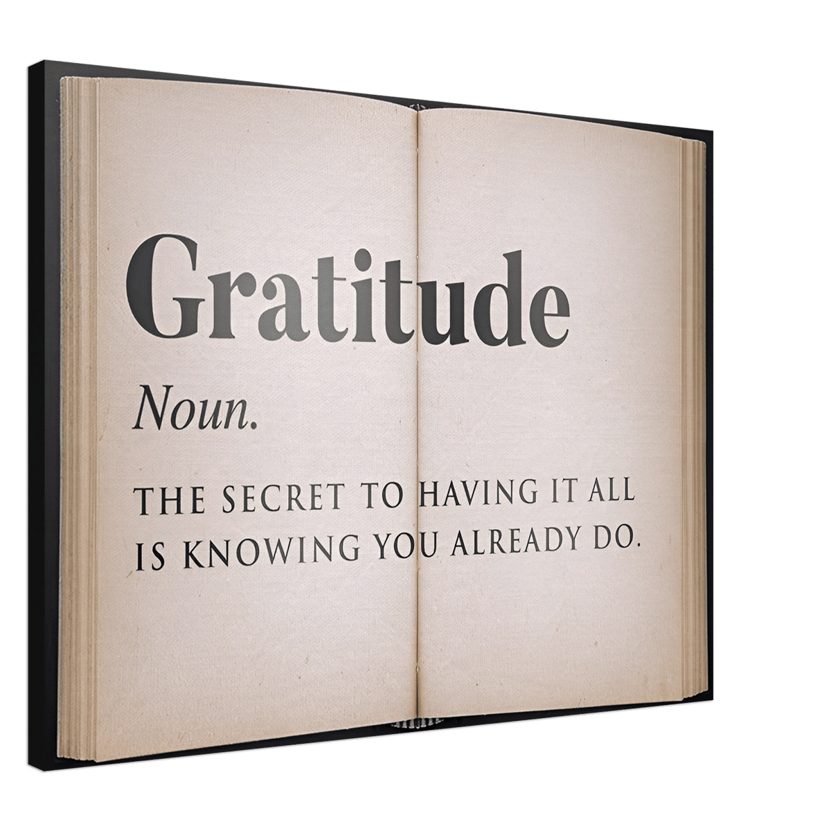 Gratitude Book - Phantom 4