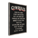 Gym Rules - Phantom 4