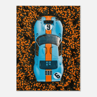 Marigold Endurance - Phantom 4