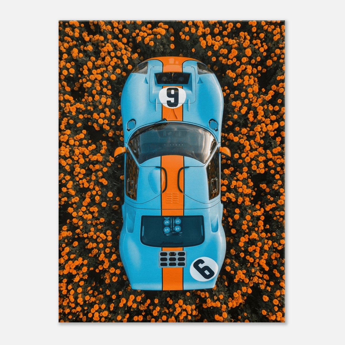 Marigold Endurance - Phantom 4