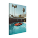 Palm Springs Reflection - Phantom 4