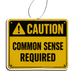 Phantom4 Common Sense Required Car Air Freshener - Phantom 4