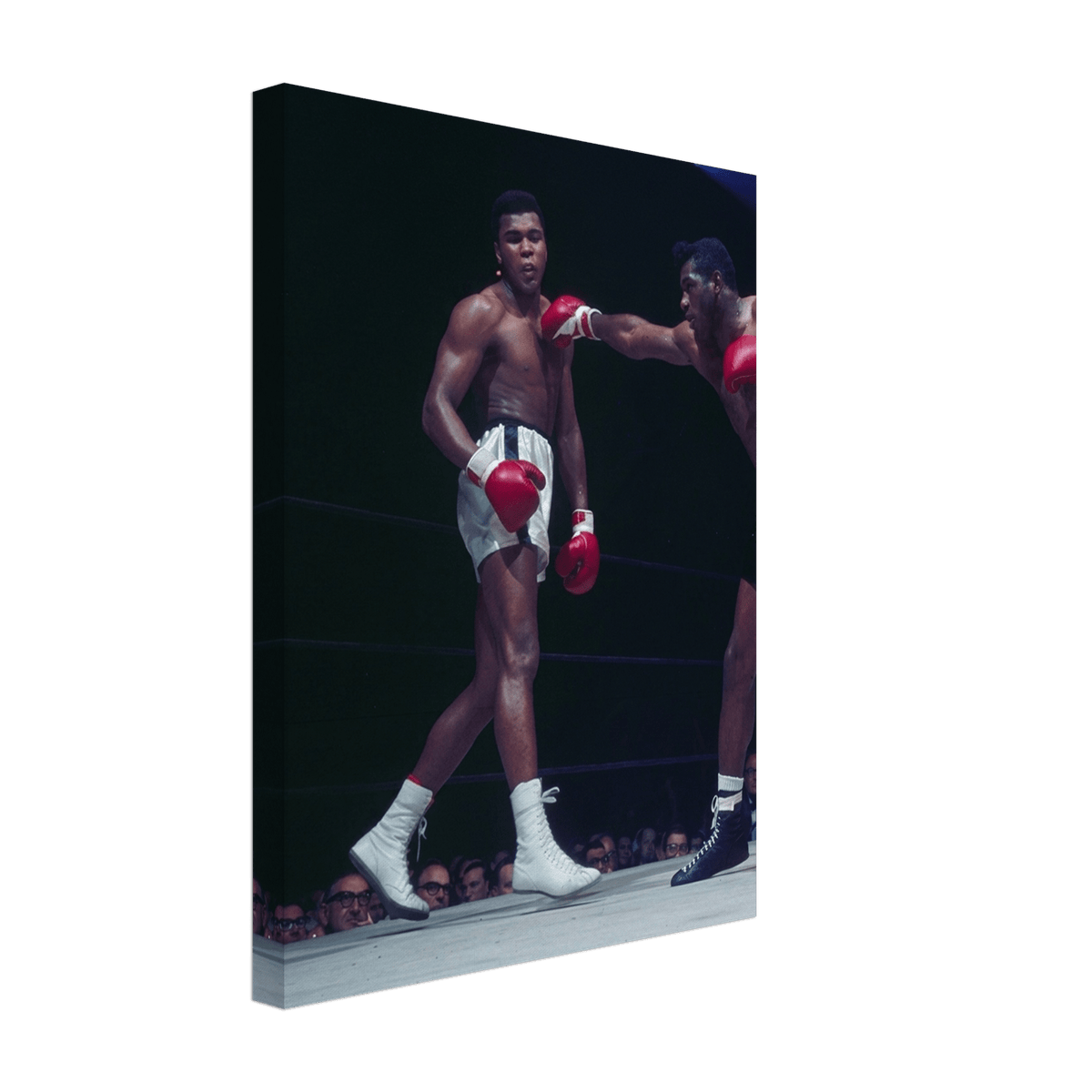 Poise of a Champion - Phantom 4