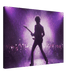 Purple Rain Reverie - Phantom 4