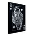 Queen of Hearts Platinum - Phantom 4