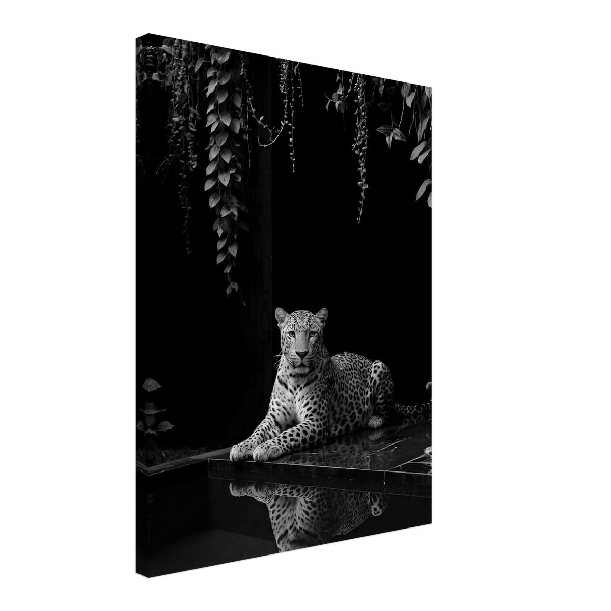 Shadowed Majesty - Phantom 4