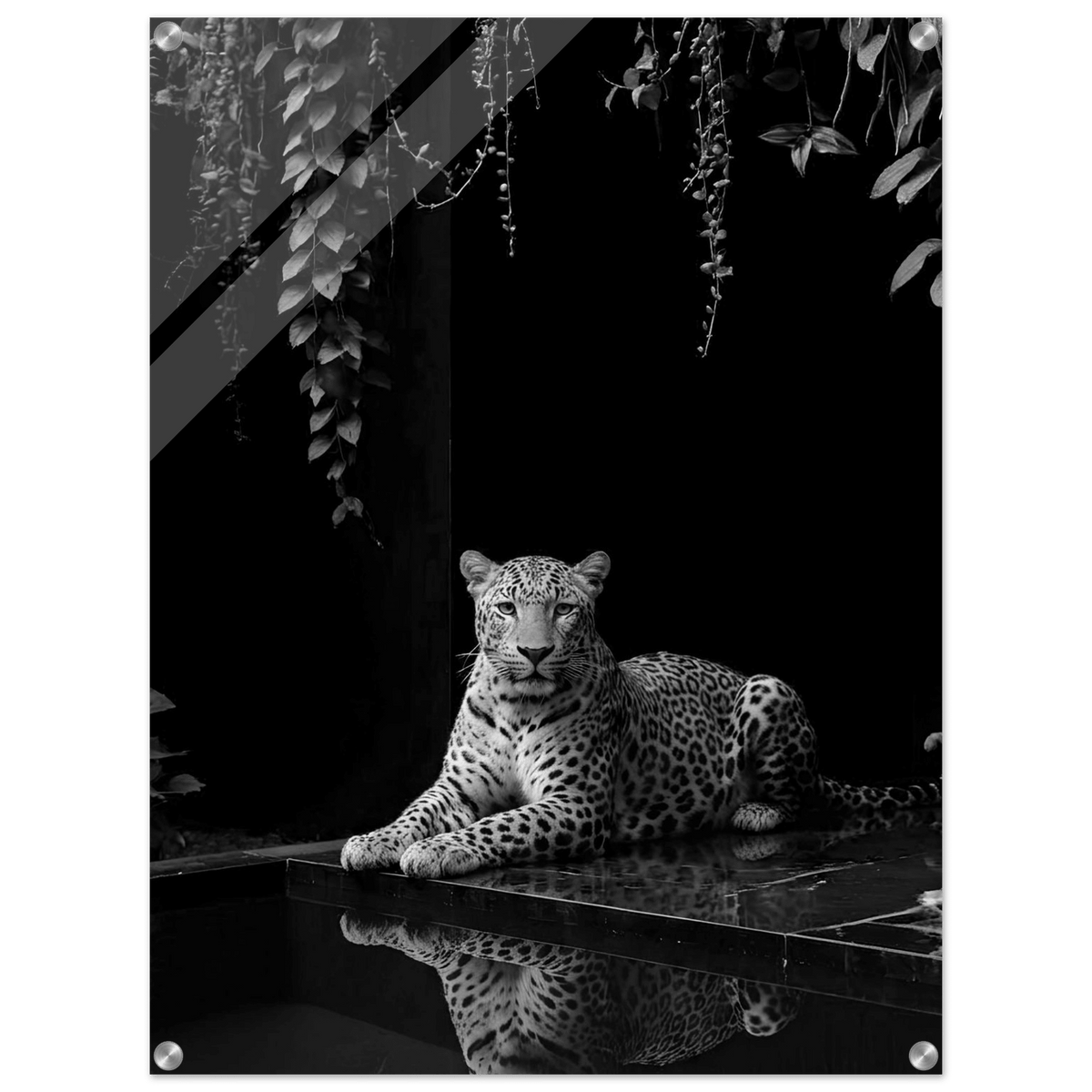 Shadowed Majesty Acrylic Canvas - Phantom 4