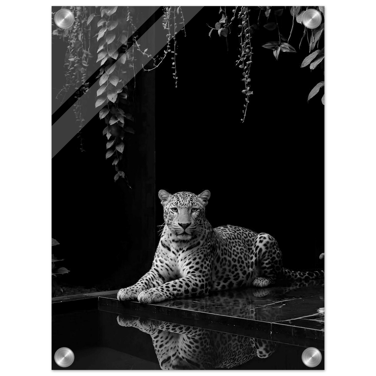 Shadowed Majesty Acrylic Canvas - Phantom 4