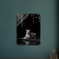 Shadowed Majesty Acrylic Canvas - Phantom 4