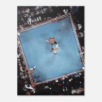 The Arena - Phantom 4