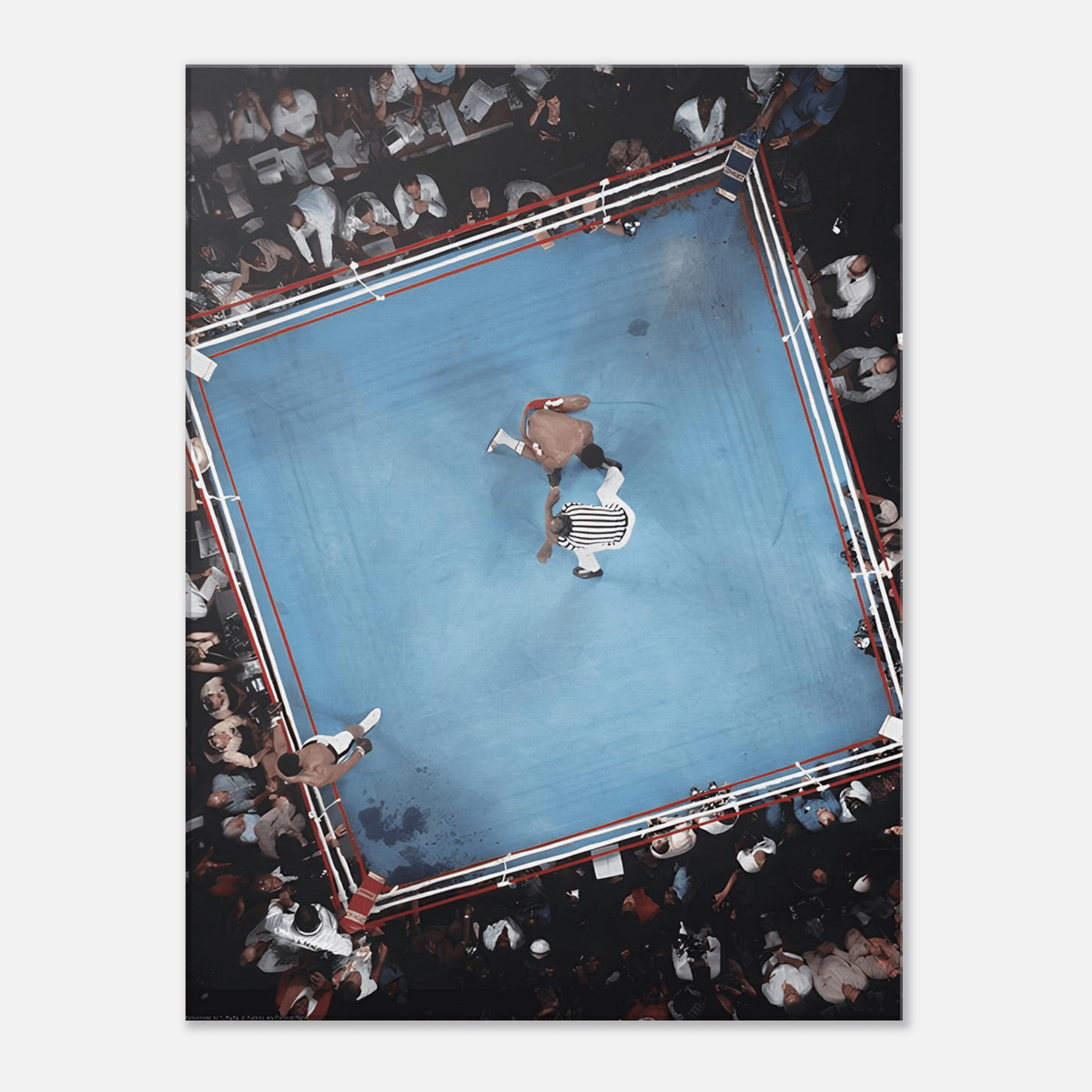 The Arena - Phantom 4