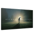The Dedicated - Phantom 4