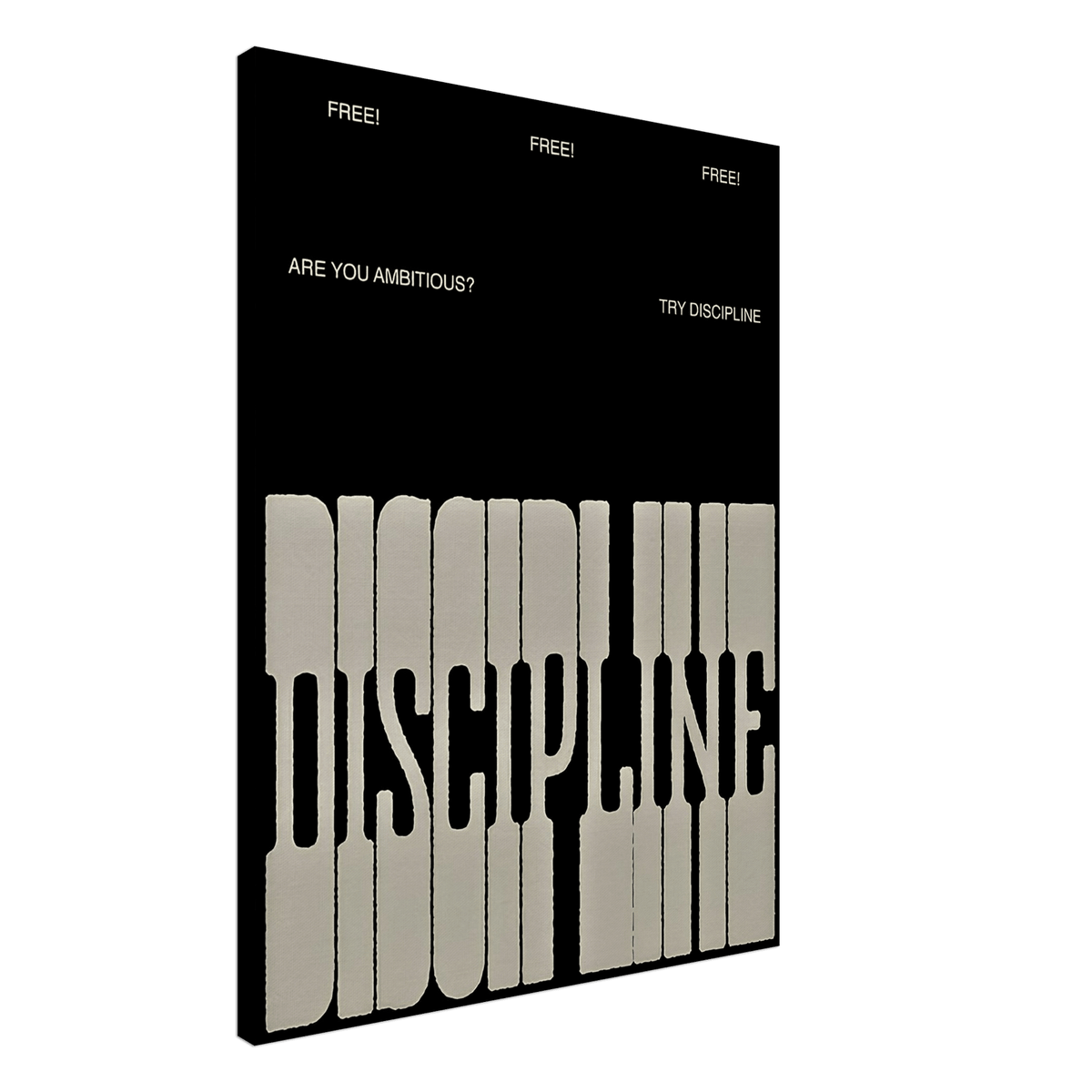 The Discipline - Phantom 4