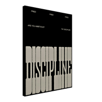 The Discipline - Phantom 4