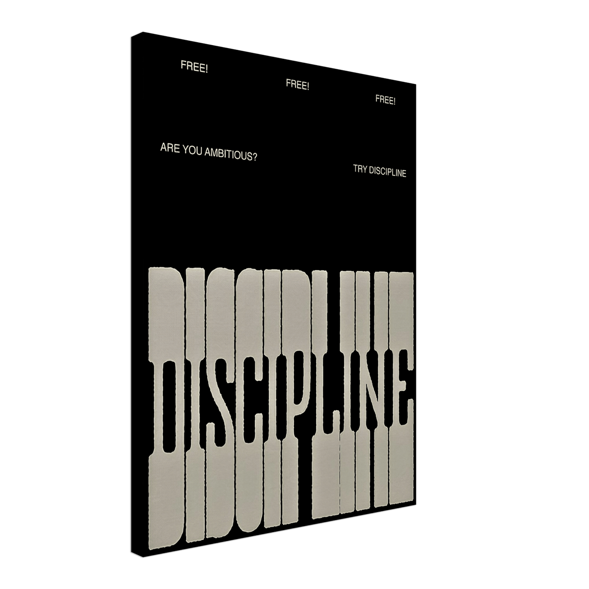 The Discipline - Phantom 4