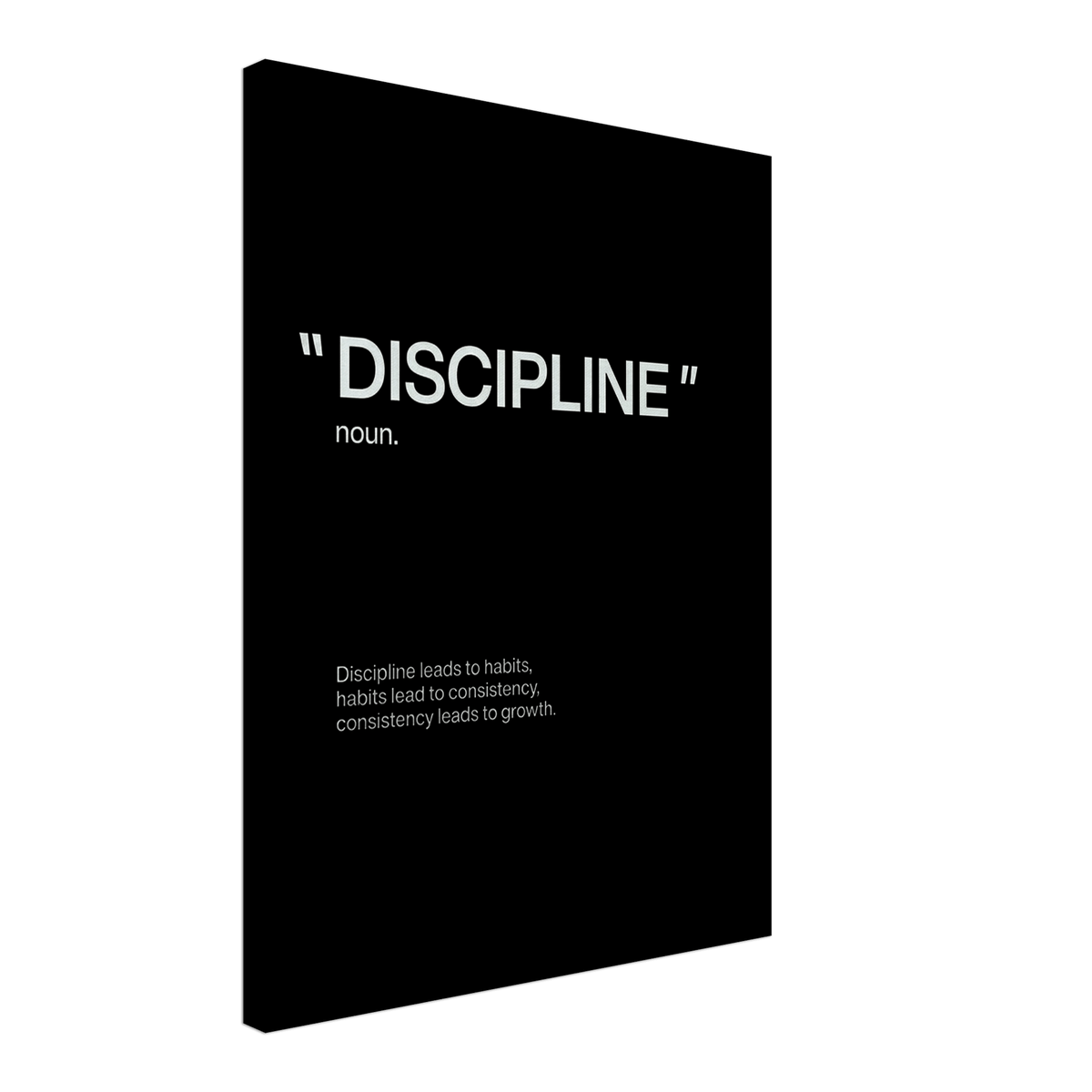 The Discipline - Phantom 4
