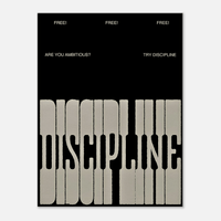 The Discipline - Phantom 4
