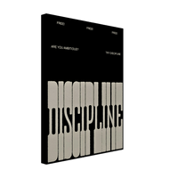 The Discipline - Phantom 4