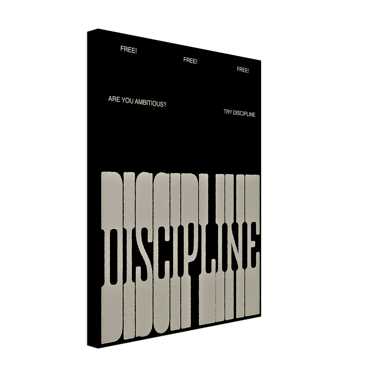 The Discipline - Phantom 4