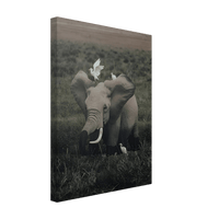 The Gentle Titan - Phantom 4