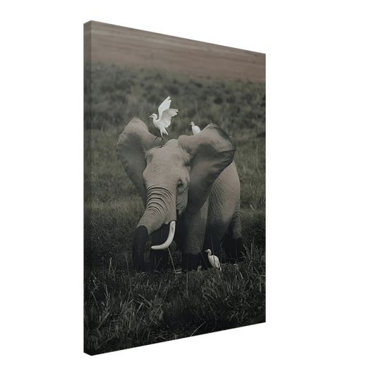 The Gentle Titan - Phantom 4