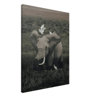 The Gentle Titan - Phantom 4