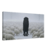 The Singular Leader - Phantom 4