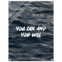 You Can And You Will Acrylic Canvas - Phantom 4