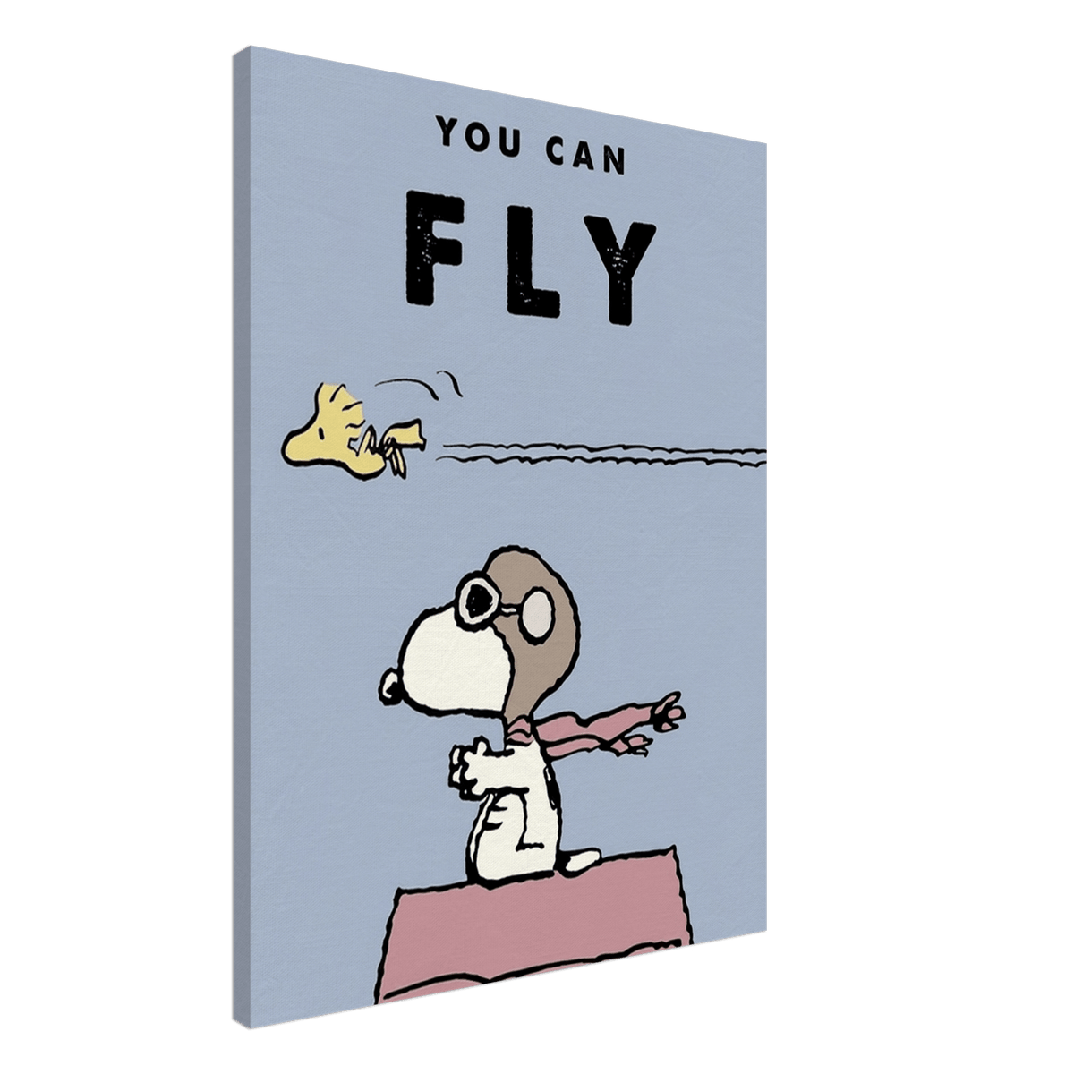 You Can Fly - Phantom 4