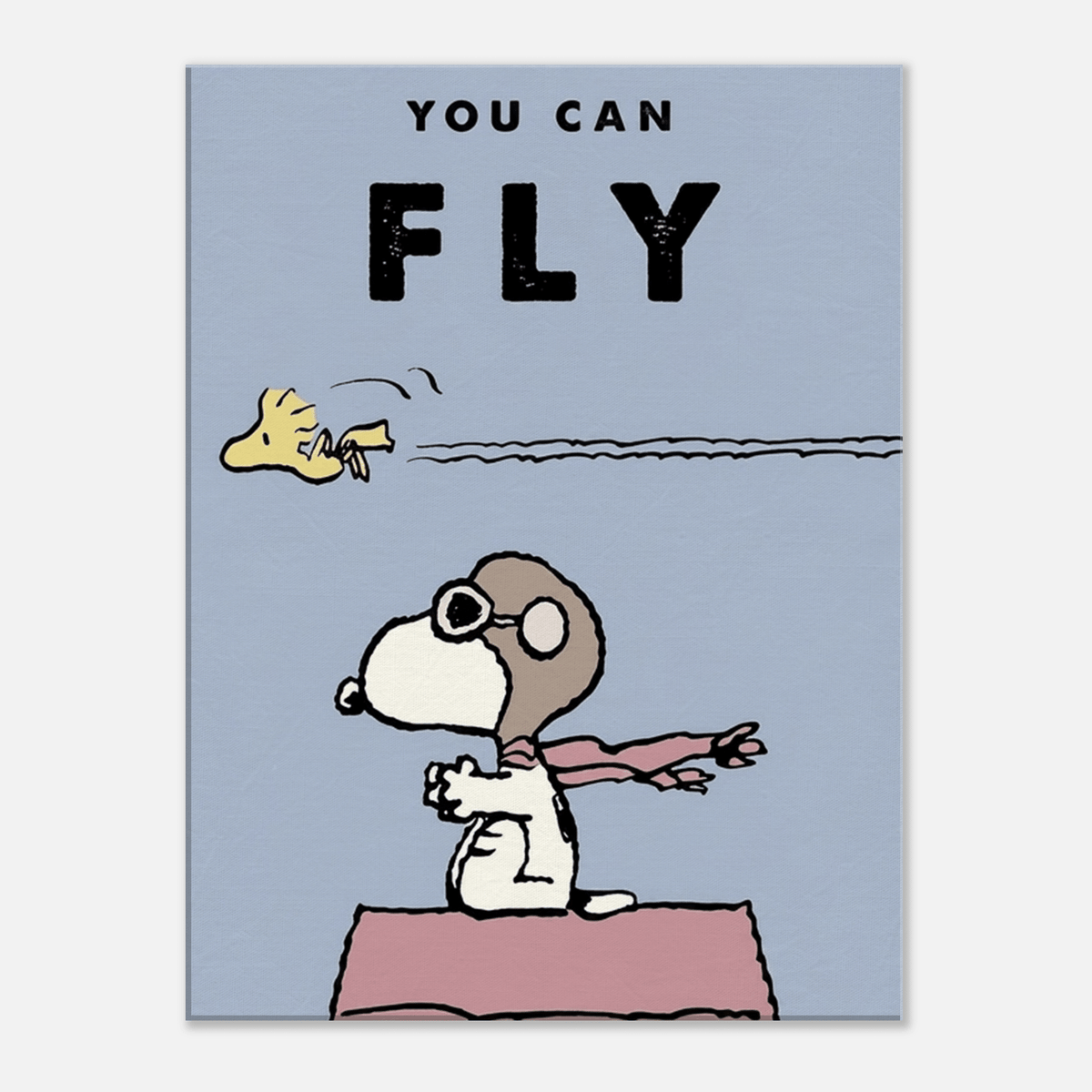 You Can Fly - Phantom 4