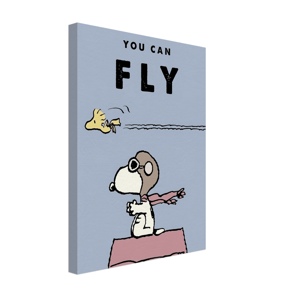 You Can Fly - Phantom 4